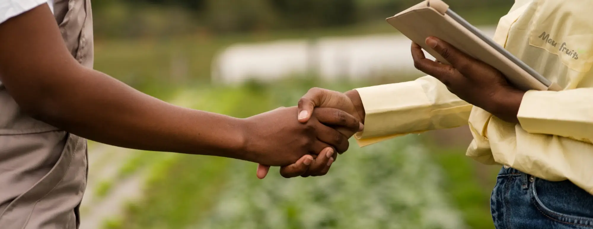 maufruits Contact Us