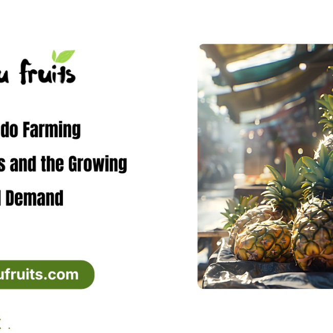 Avocado Farming Trends