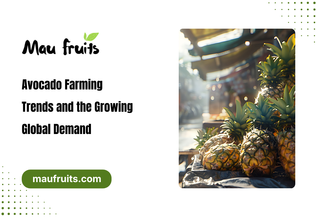 Avocado Farming Trends
