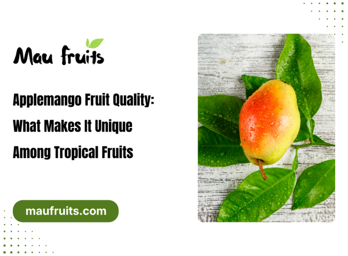 Applemango Fruit Quality