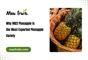 Why MD2 Pineapple Is the Most Exported