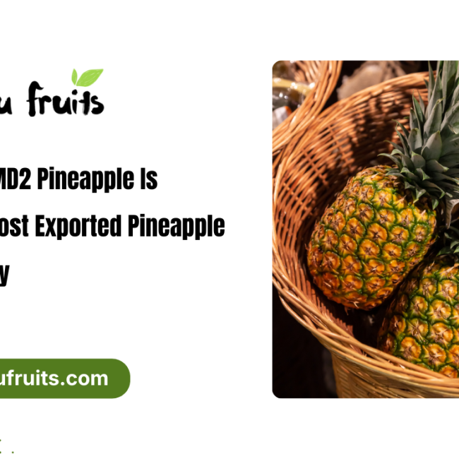 Why MD2 Pineapple Is the Most Exported