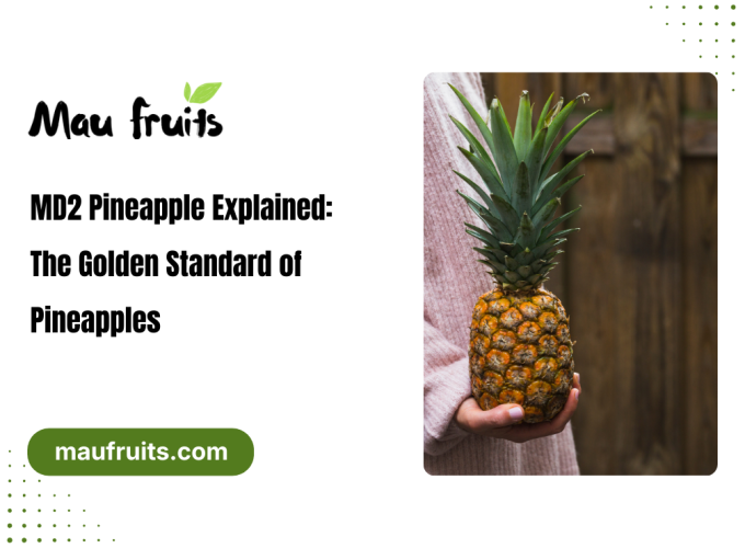 MD2 pineapple explained