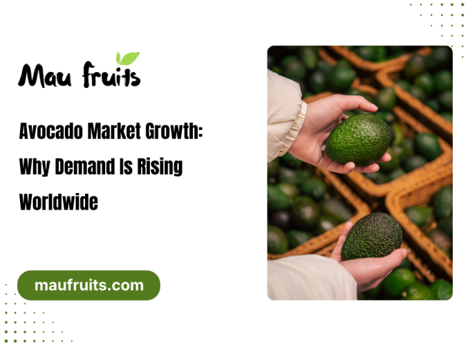 avocado market growth