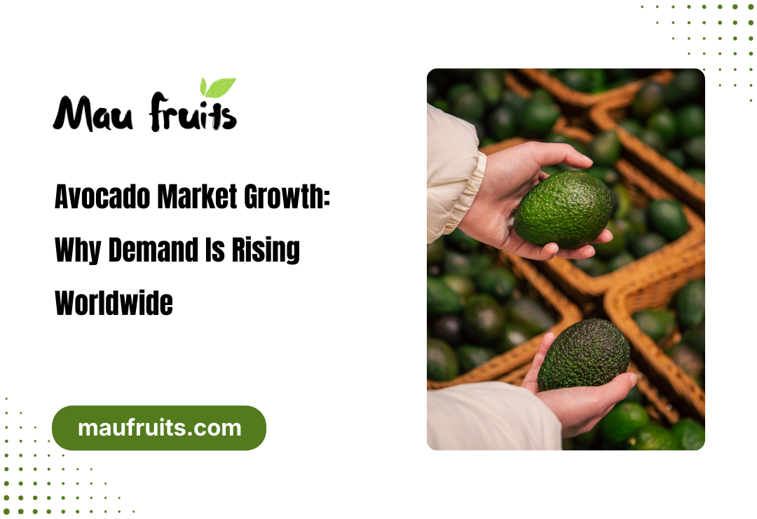 avocado market growth