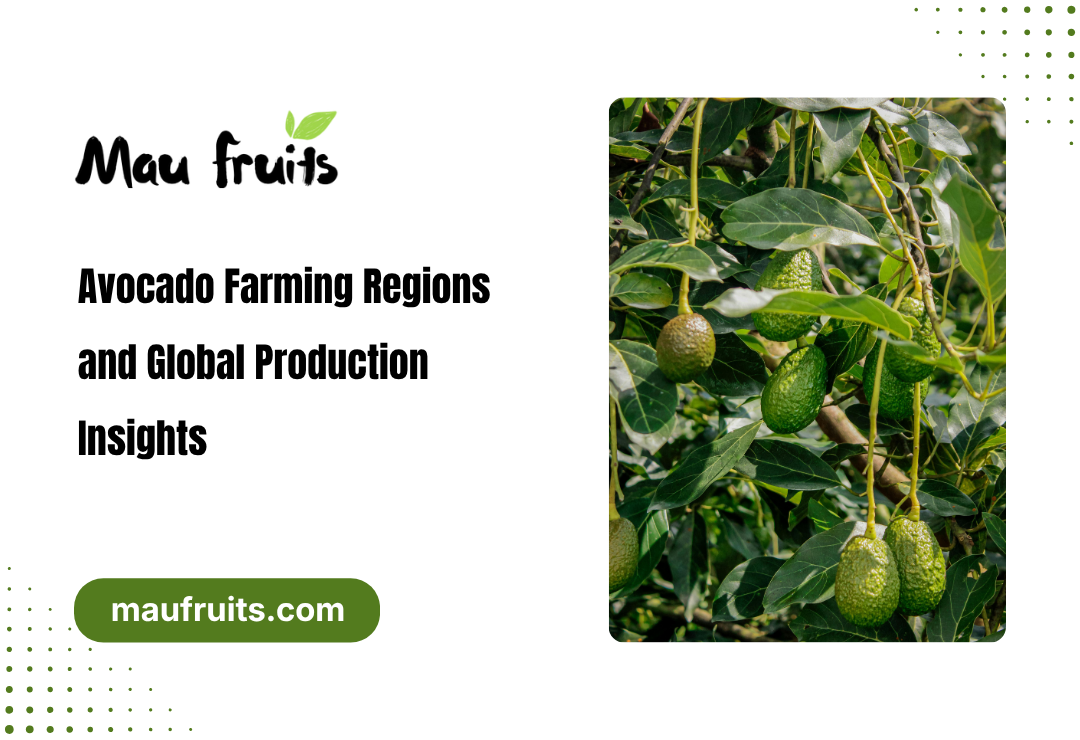 Avocado Farming Regions: Complete Guide to Global Production