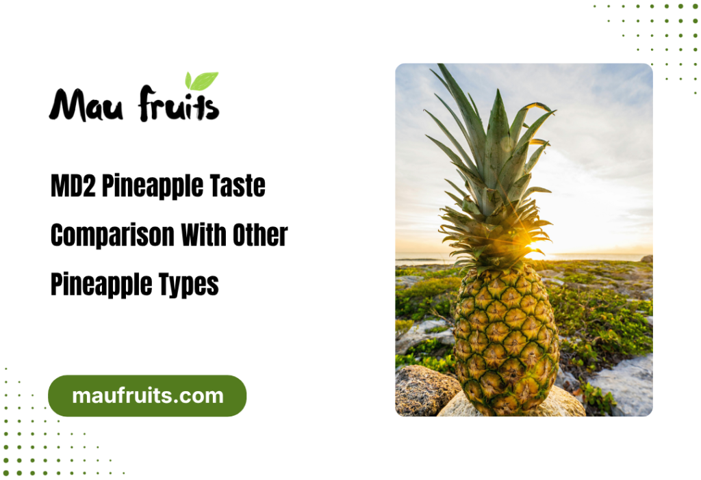 MD2 pineapple taste comparison