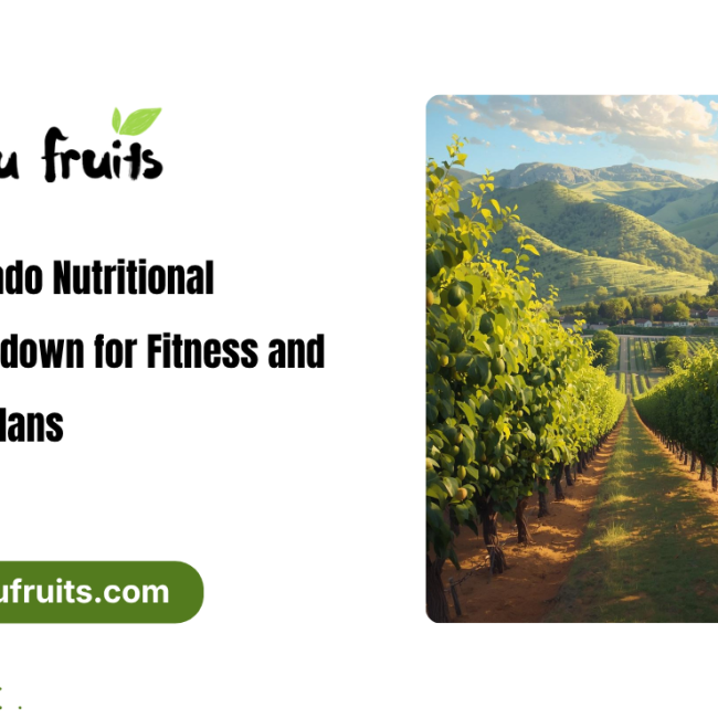 avocado nutritional breakdown