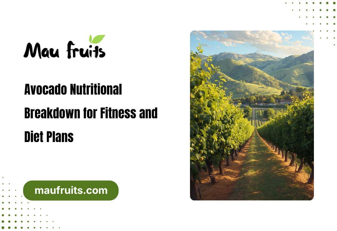 avocado nutritional breakdown